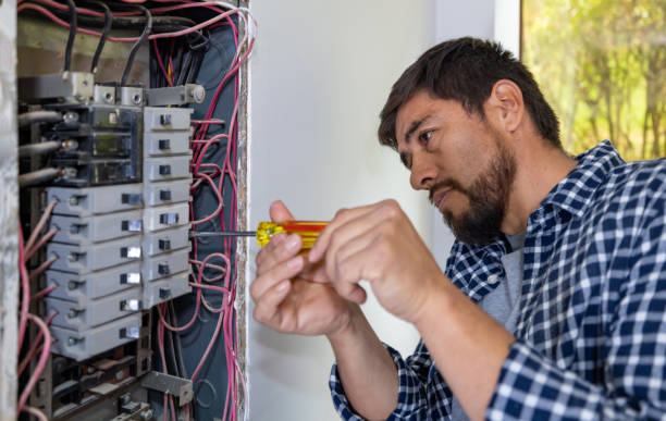 Best Electrical System Inspection  in Elk Grove Vlage, IL